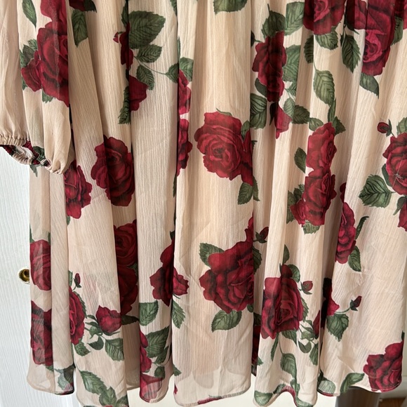 Rachel Parcell dress - Picture 6 of 9